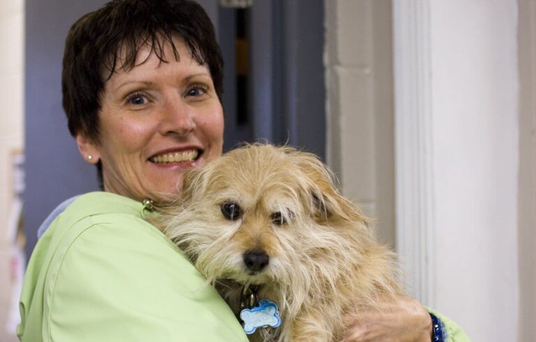 Female volunteer holding yellow dog at Animal Welfare Association.