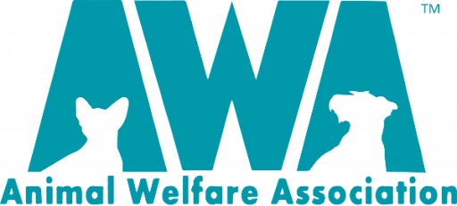 Home | Animal Welfare Association