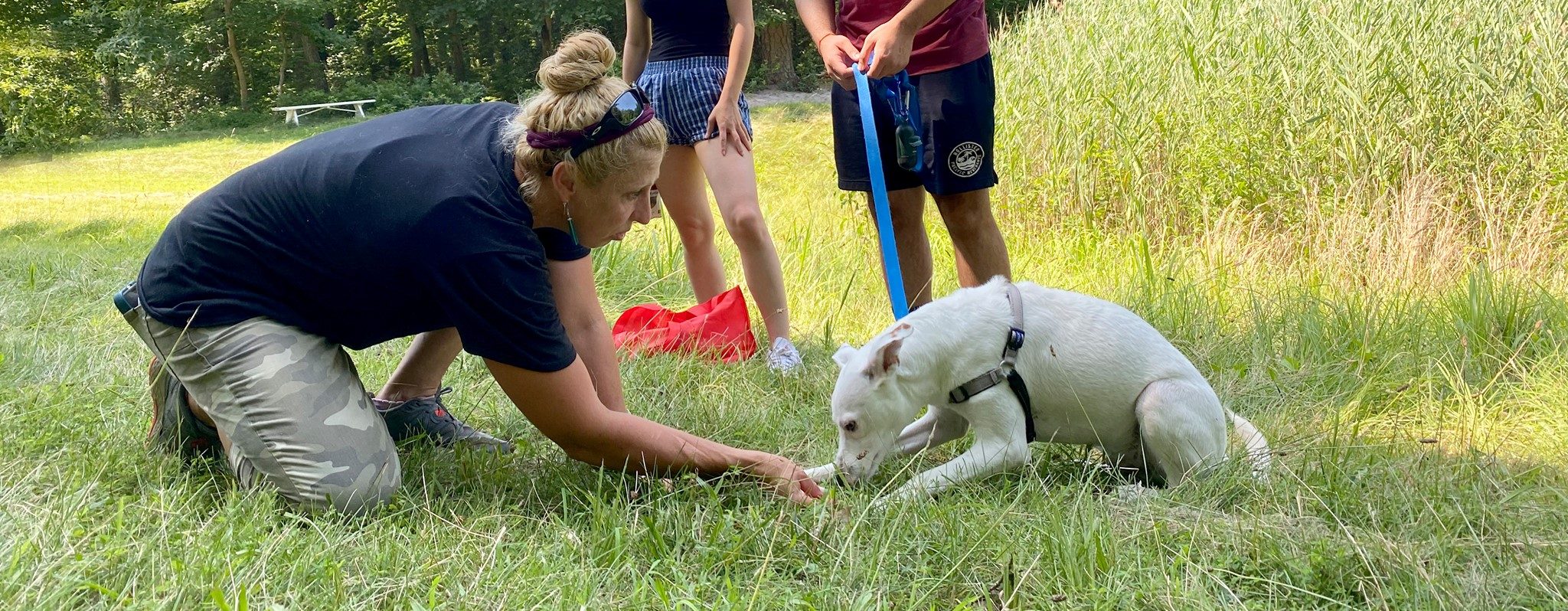 Animal Welfare Association's Behavior Manager Liz training white dog with family.