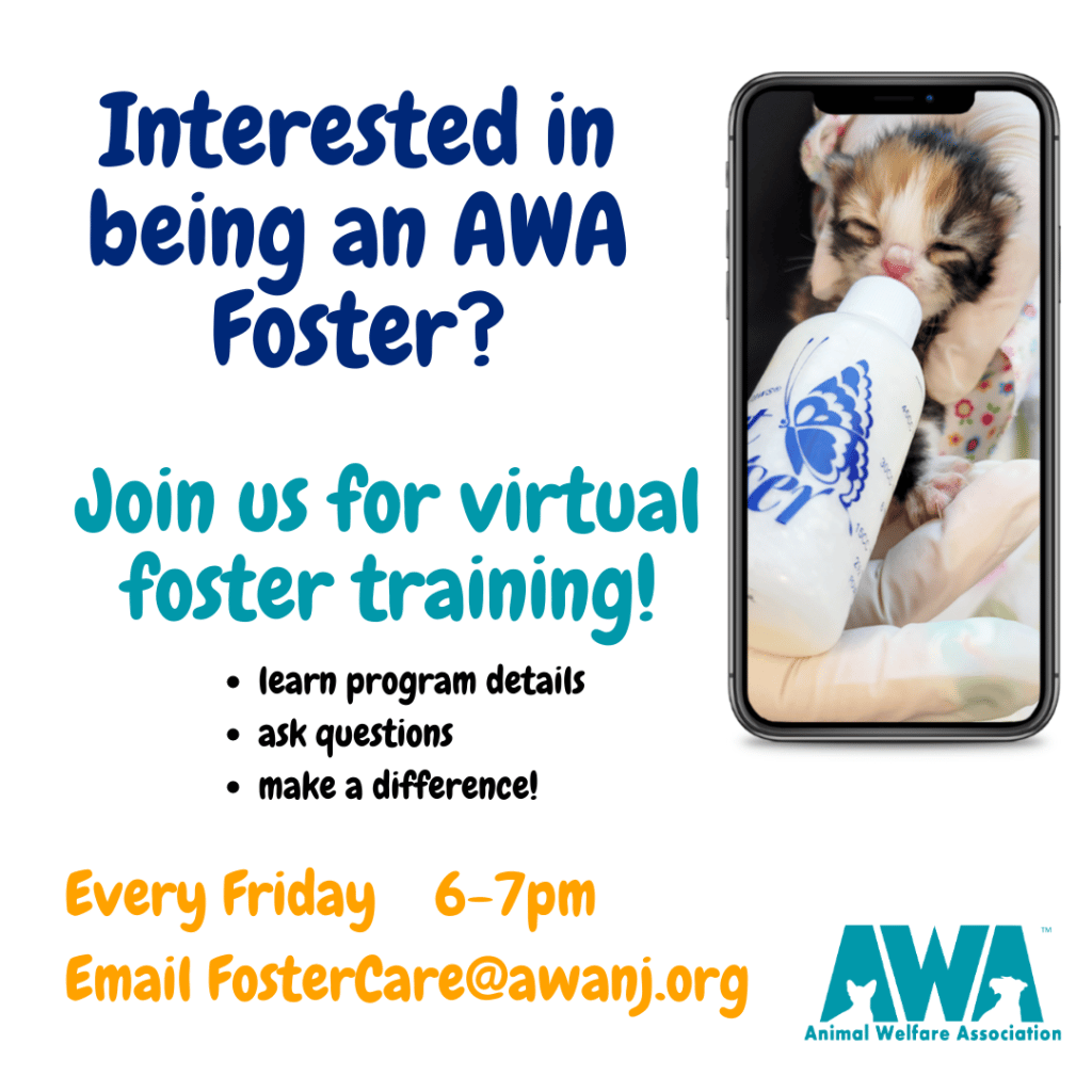 Flyer for AWA foster care virtual training