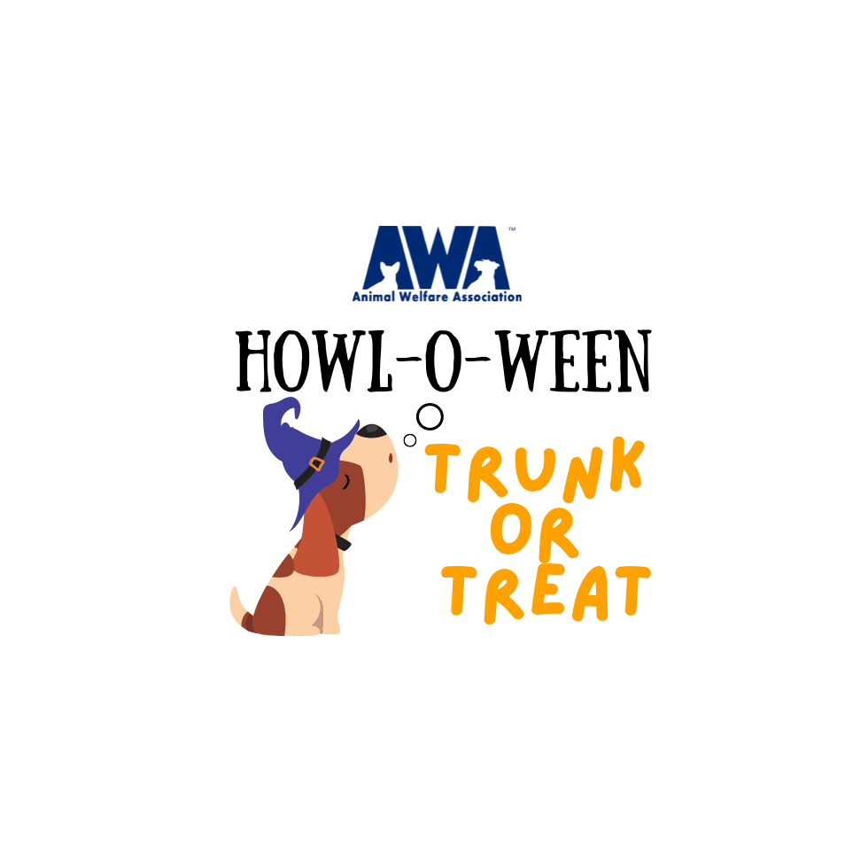Trunk or Treat | Animal Welfare Association