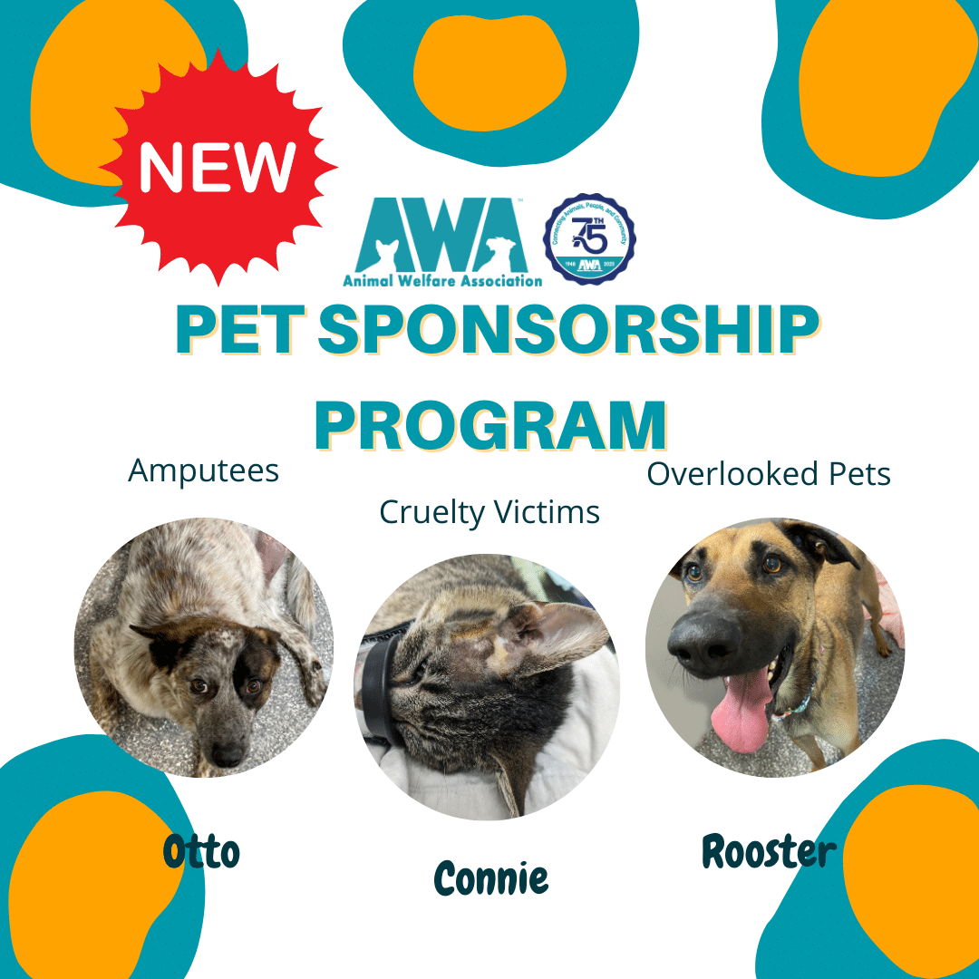 Flyers with 2 dogs and 1 cat for Animal Welfare Association's pet sponsorship program.