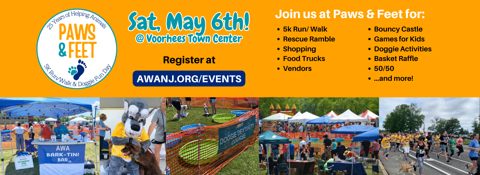 Paws and Feet 23 activities flyer