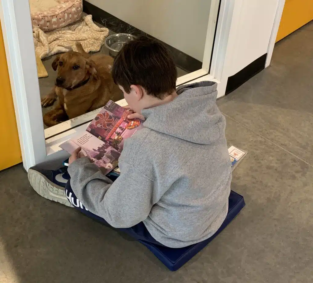 Child reading to dog at Animal Welfare Association Tales with Tails event.