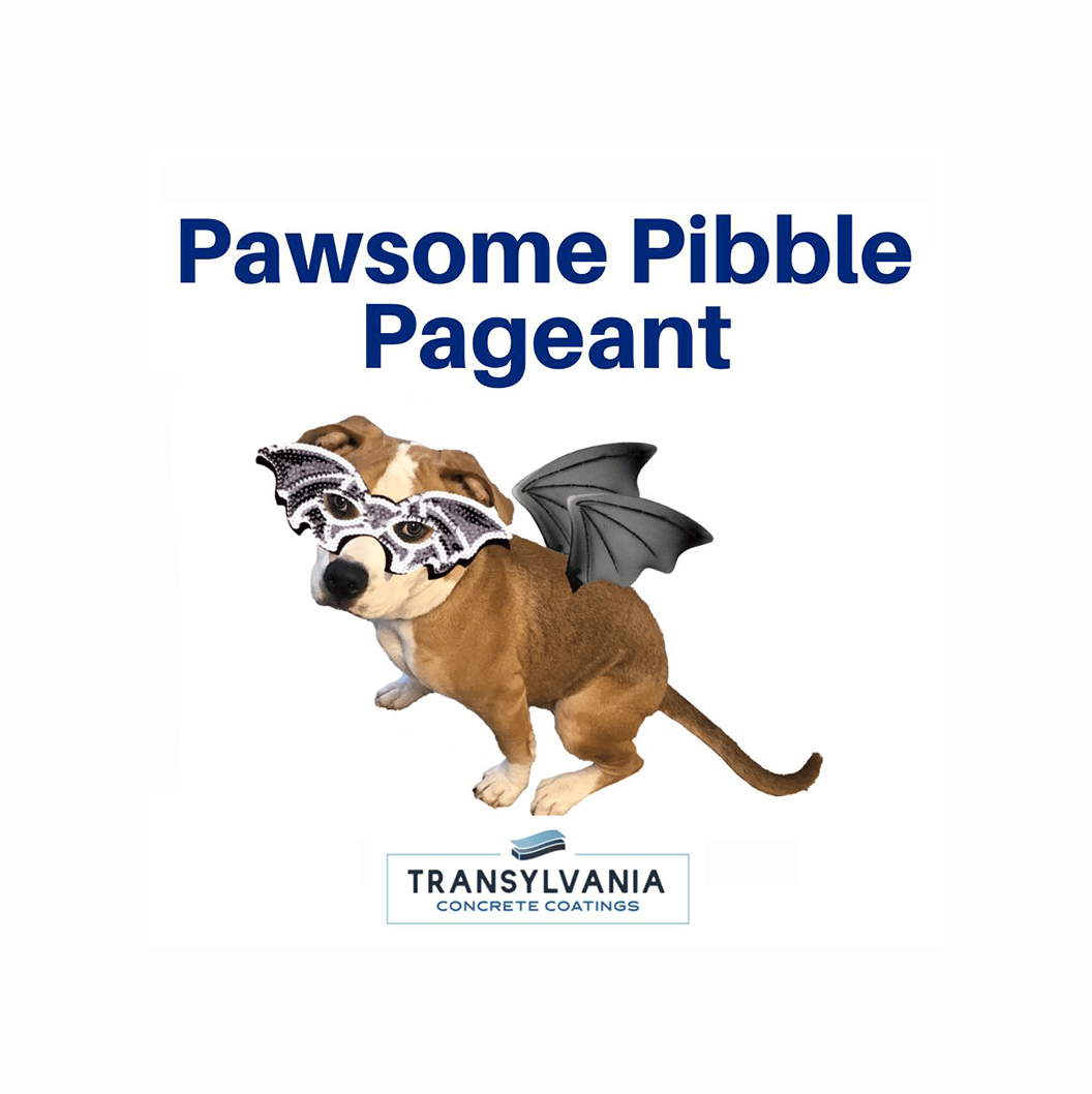 Pawsome Pibble Pageant