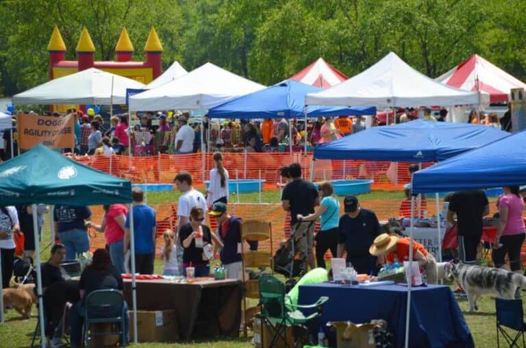 Row of tents at Animal Welfare Association's Paws and Feet 5k Race.