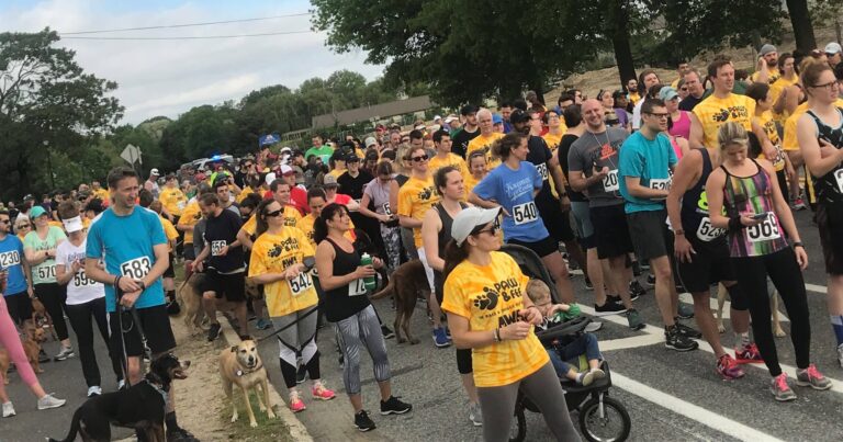 Runners at starting line for AWA Paws & Feet 5k event.