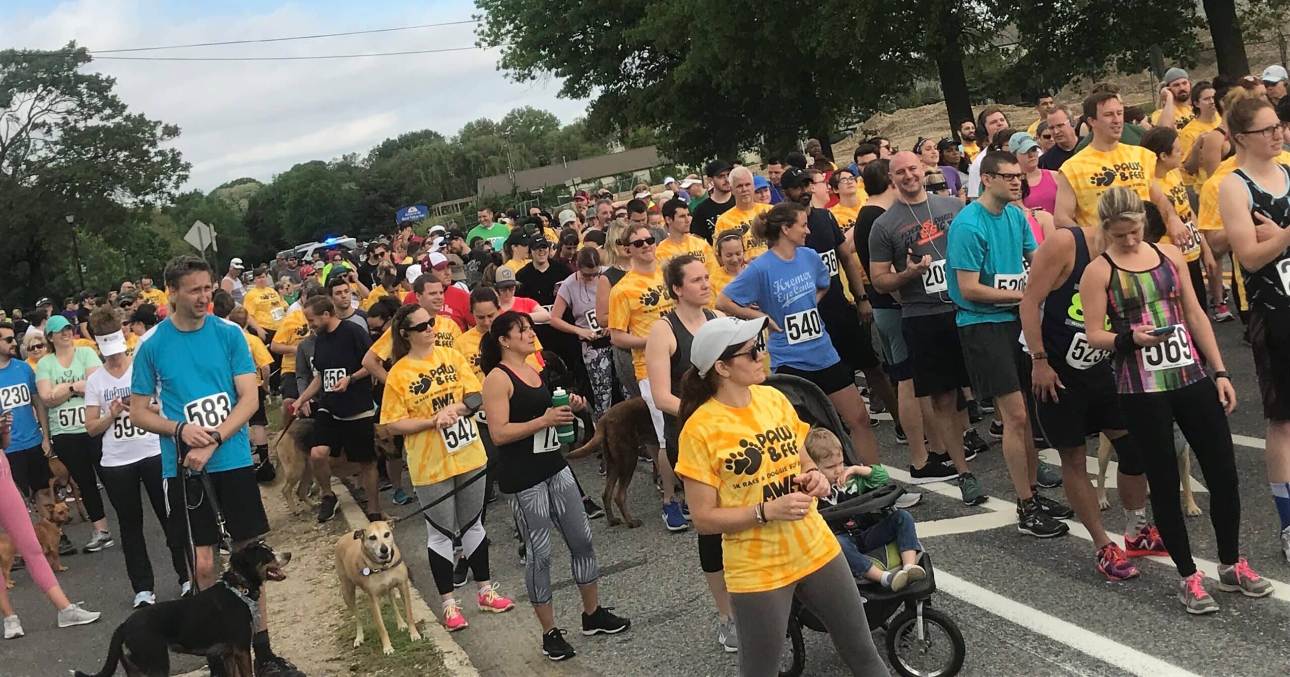 Runners at starting line for AWA Paws & Feet 5k event.