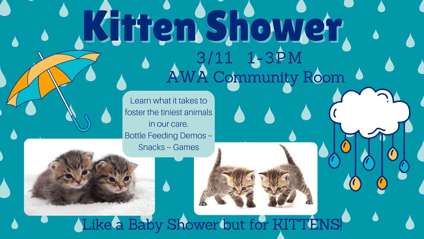 Flyer for Animal Welfare Association Kitten Shower 2023.