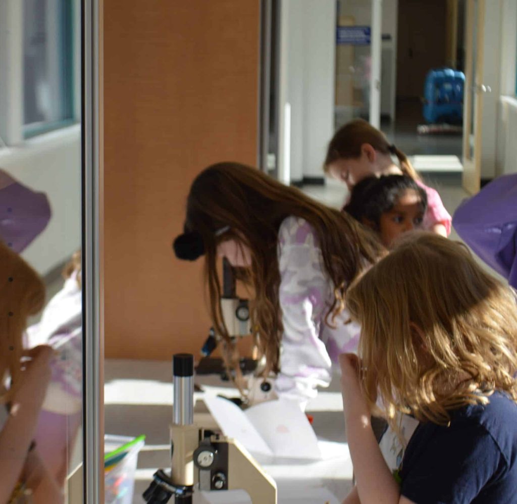 Children using microscopes on table at Animal Welfare Association camp.