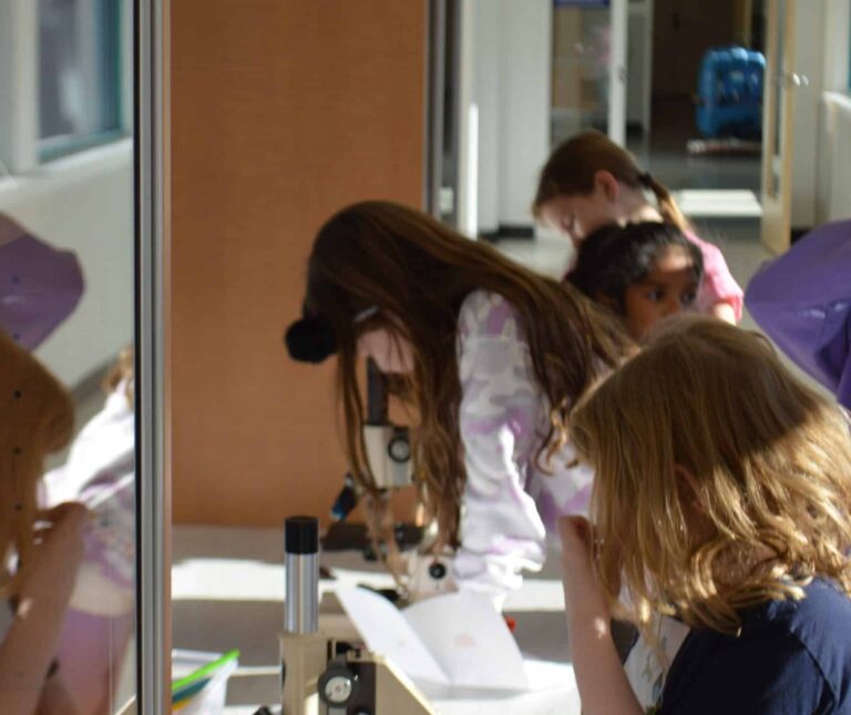 Children using microscopes on table at Animal Welfare Association camp.