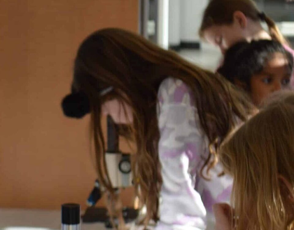Children using microscopes on table at Animal Welfare Association camp.