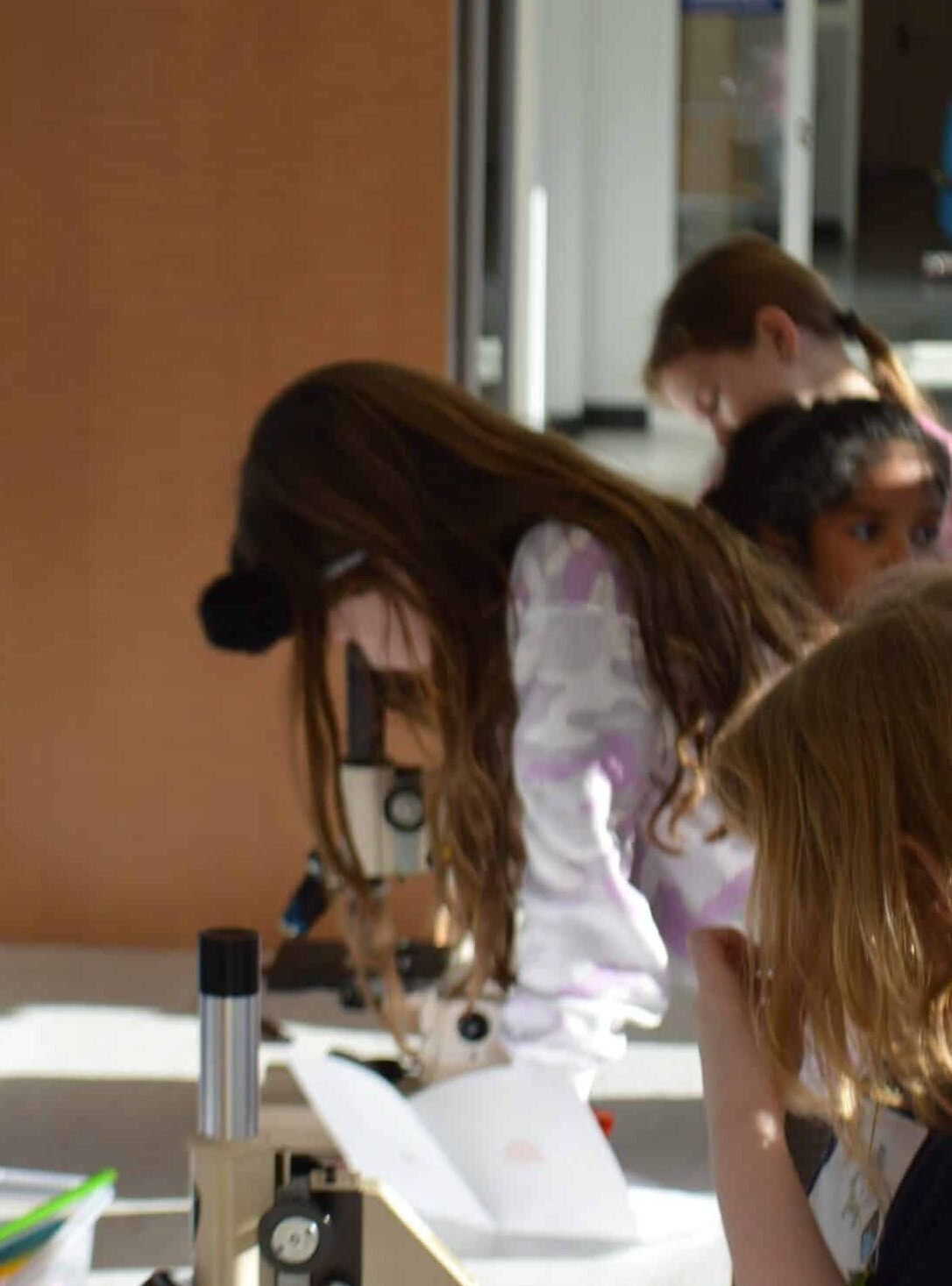 Children using microscopes on table at Animal Welfare Association camp.