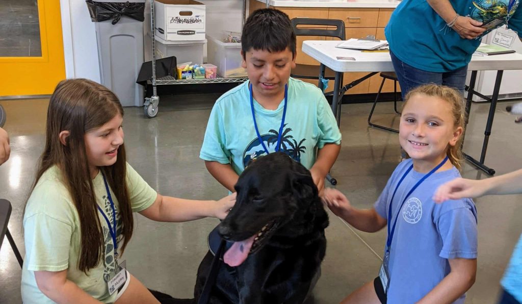 three children petting black dog at Animal Welfare Associations Kids Camp.