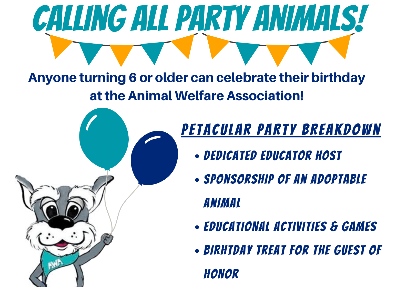 Book a Birthday Party