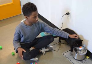 child sitting and petting cat inside AWA community cat room.