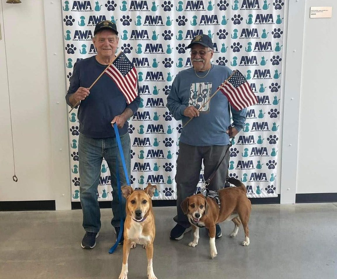 Two men waving flags standing with dogs adopted from Animal Welfare Association's Pets for Veterans Program.