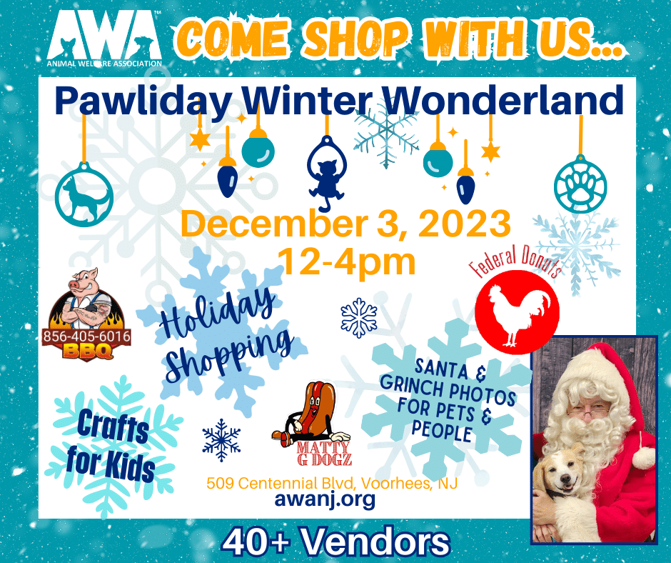 Registration is now available for Santa's Winter Wonderland 2023