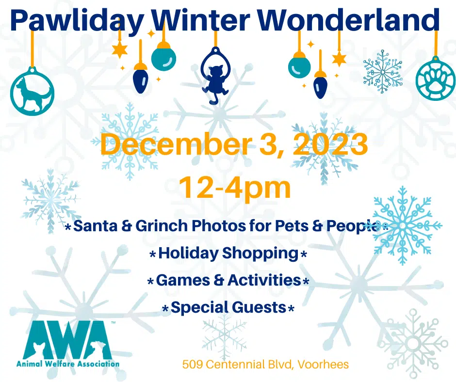 Flyer with information on AWA's Pawliday Winter Wonderland on Sunday, December 3rd 2023.