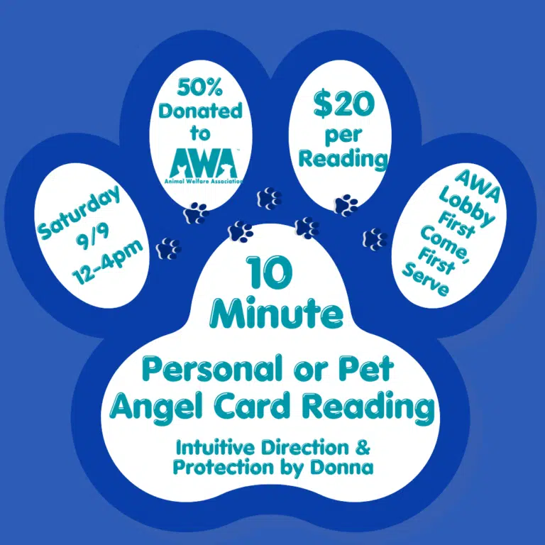 flyer for Donna Raman fundraiser supporting AWA.