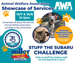 Flyer for Animal Welfare Association's Showcase of Services event 10/7 and 10/8 2023.