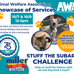 Flyer for Animal Welfare Association's Showcase of Services event 10/7 and 10/8 2023.