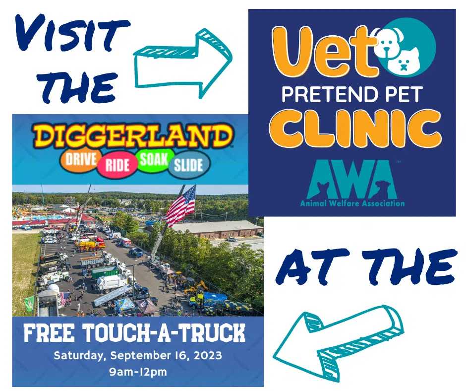 Flyer for AWA Vet Pretend Pet Clinic visiting Diggerland on Septermber 16th.