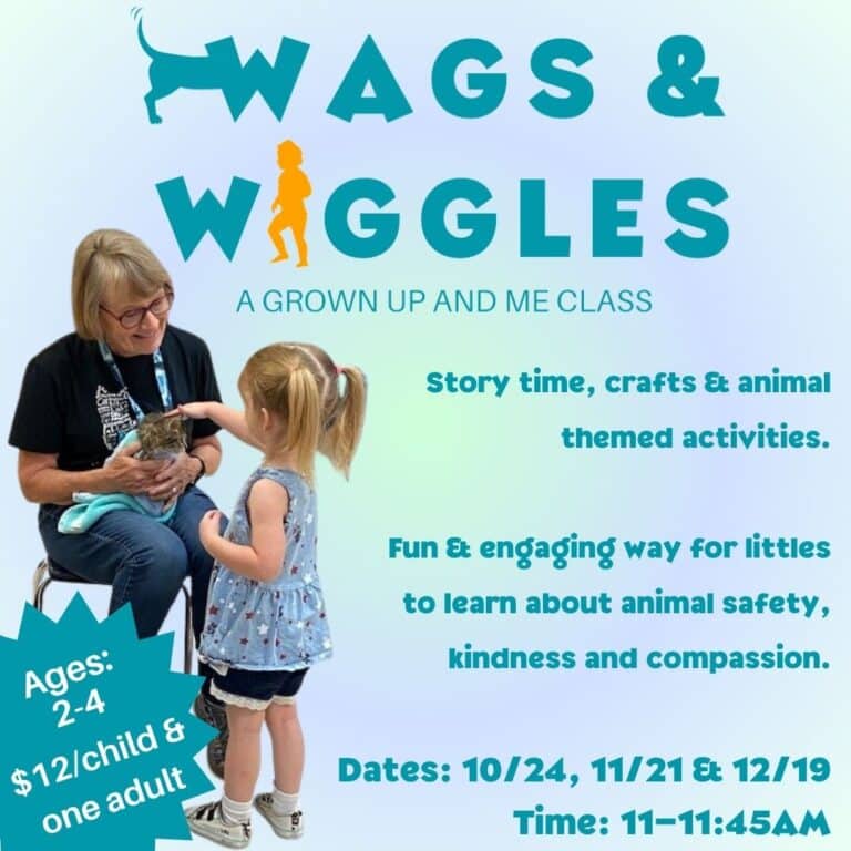 Woman holding cat being pet by child with blonde hair on flyer for AWA Wags & Wiggles toddler program.