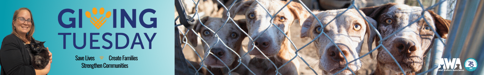 Banner for AWA Giving Tuesday 2023 with 4 dogs behind fence and woman holding black cat.