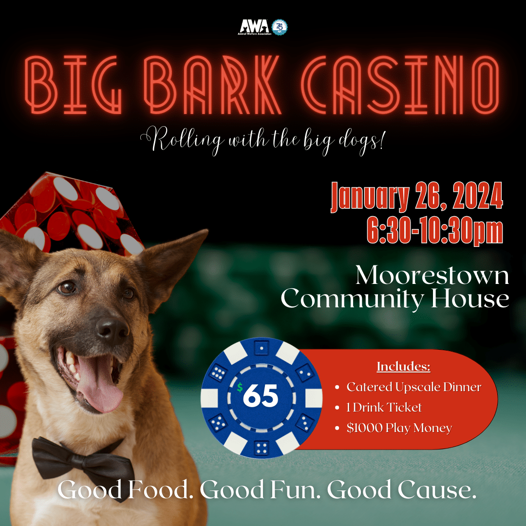 Dog with bow tie on flyer with craps table promoting AWA Big Bark Casino Night event.