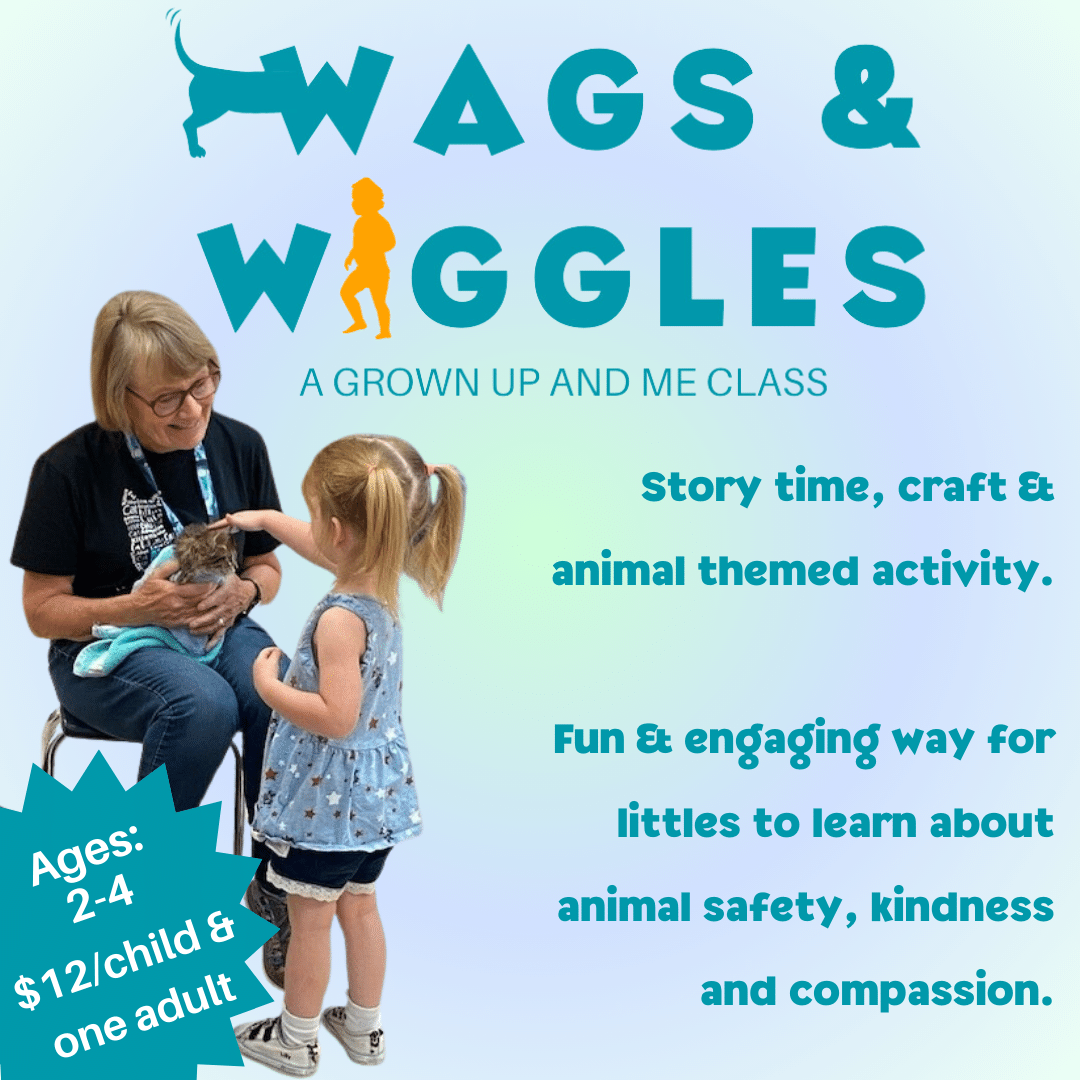 woman holding cat being pet by child on flyer promoting Animal Welfare Association's Wags and Wiggles toddler classes.
