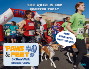 Flyer with runners and dog racing to promote Animal Welfare Association's Paws & Feet 5k on Saturday, May 4th 2024.