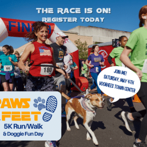 Flyer with runners and dog racing to promote Animal Welfare Association's Paws & Feet 5k on Saturday, May 4th 2024.