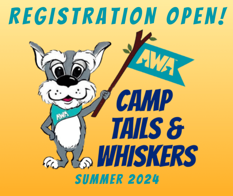Gray dog holding blue Animal Welfare Association Flag on flyer for registration to AWA Summer Camp 2024.