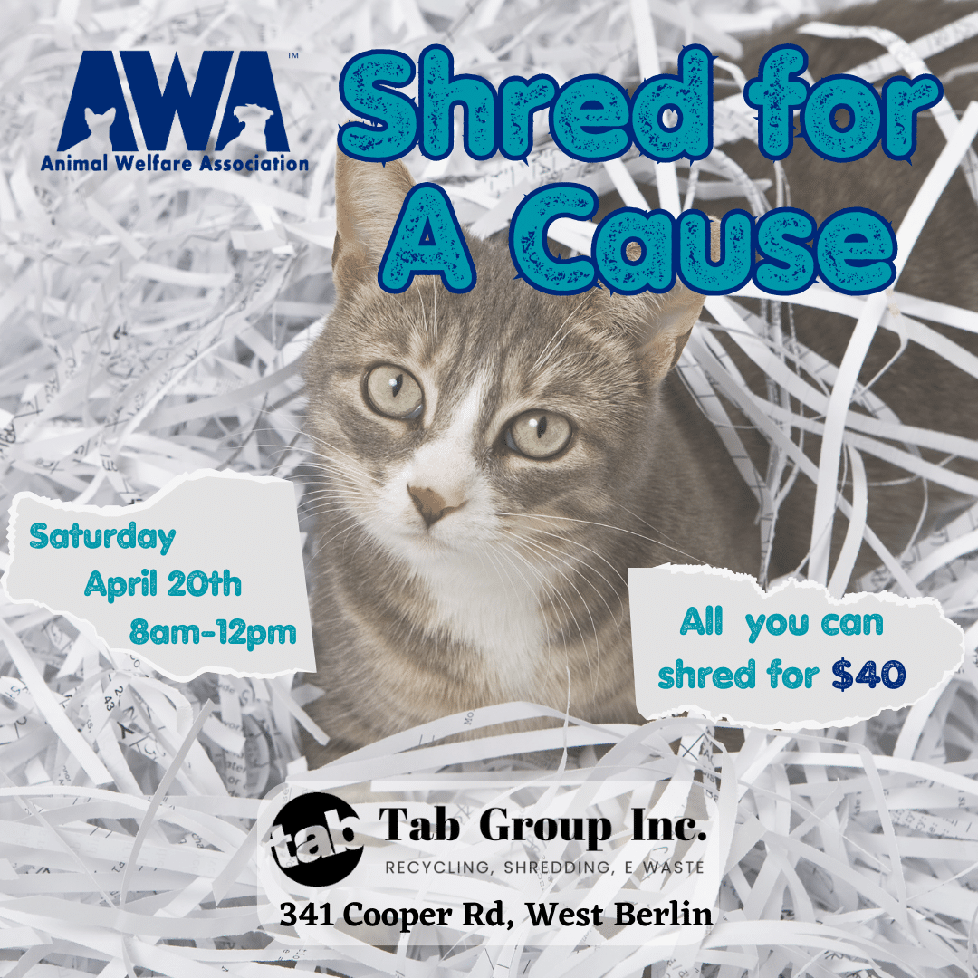 Cat and shredded paper on flyer for AWA Shred for a Cause event with Tab Group on April 20th 2024.