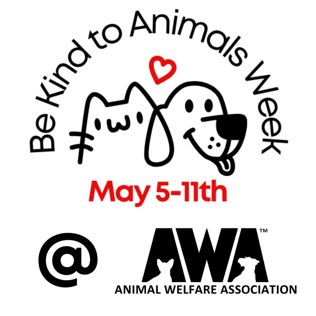 Be Kind to Animals Week Animal Welfare Association