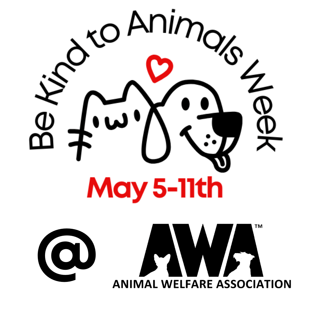 Logo for 2024 Be Kind to Animals Week at AWA