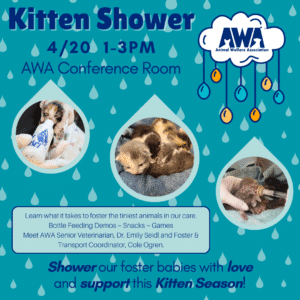 Flyer for 2024 AWA Kitten Shower on Saturday, April 20th.