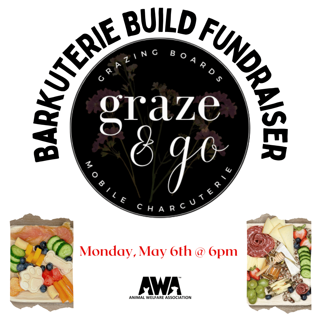 Flyer for AWA Barkuterie Build fundraiser event hoster by Graze & Go Mobile Charcuterie.