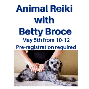 Dog on flyer for Animal Reiki with Betty Broce at AWA on May 5th 2024.