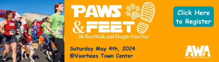 Banner for Animal Welfare Association's Paws & Feet 2024 event.