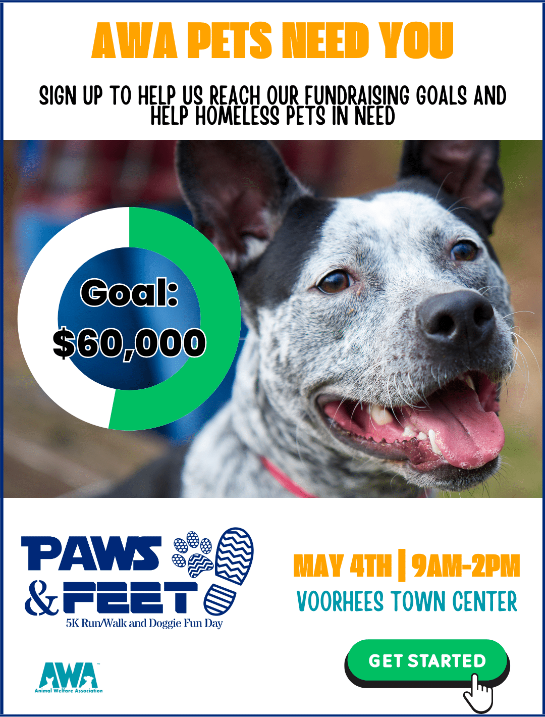 White and black dog on flyer for AWA Paws & Feet 2024.