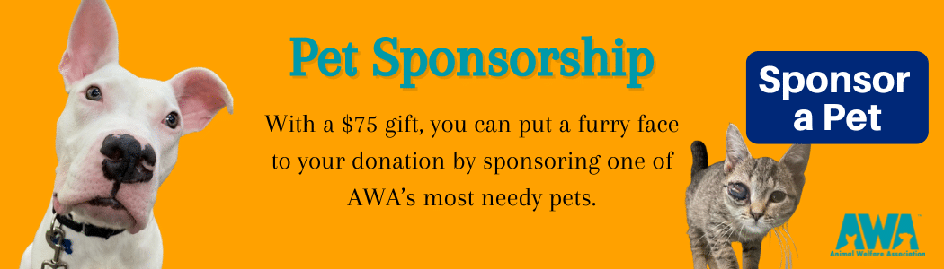 Orange banner ad with white dog and cat promoting Animal Welfare Association's Pet Sponsorship program.