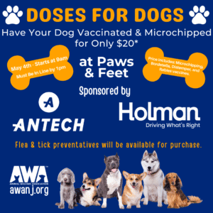 Flyer for AWA Doses for Dogs affordable vaccine event at Paws & Feet 2024.
