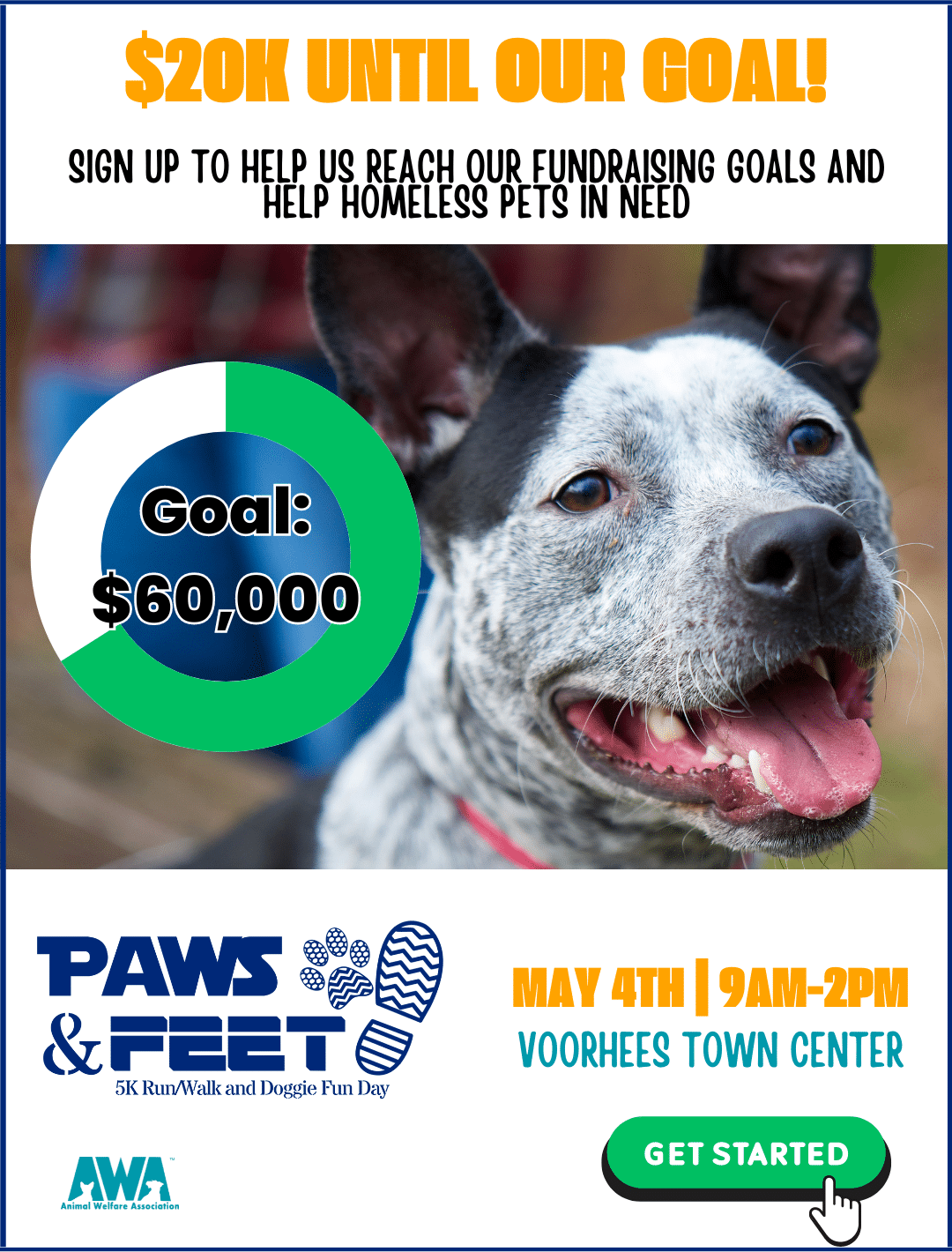 Dog on flyer promoting AWA Paws & Feet fundraiser.