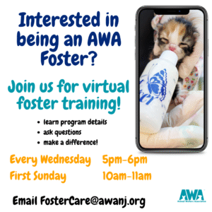 Join us for virtual foster training every wednesday from 5-6pm and the first sunday from 10-11am