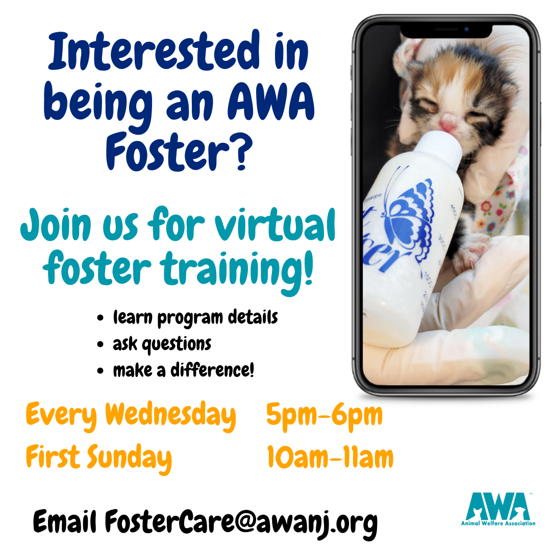 Join us for virtual foster training every wednesday from 5-6pm and the first sunday from 10-11am