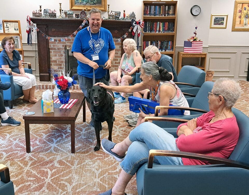 Man in blue shirt walking black labrador dog in senior home during pet therapy visit.