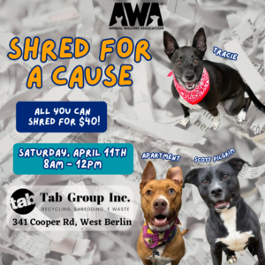 Shred for a Cause. Saturday, April 11, 8am-12pm at Tab Shred Group