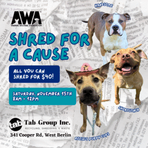 Shred for a Cause. All you can shred. 11/15